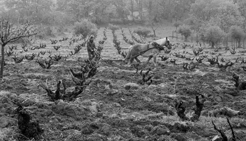 /img/offers/2528/Comando G card.jpg